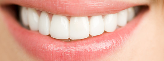 tandforsikring til tænder